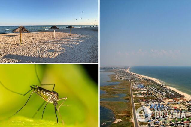 Отдых в Кирилловке