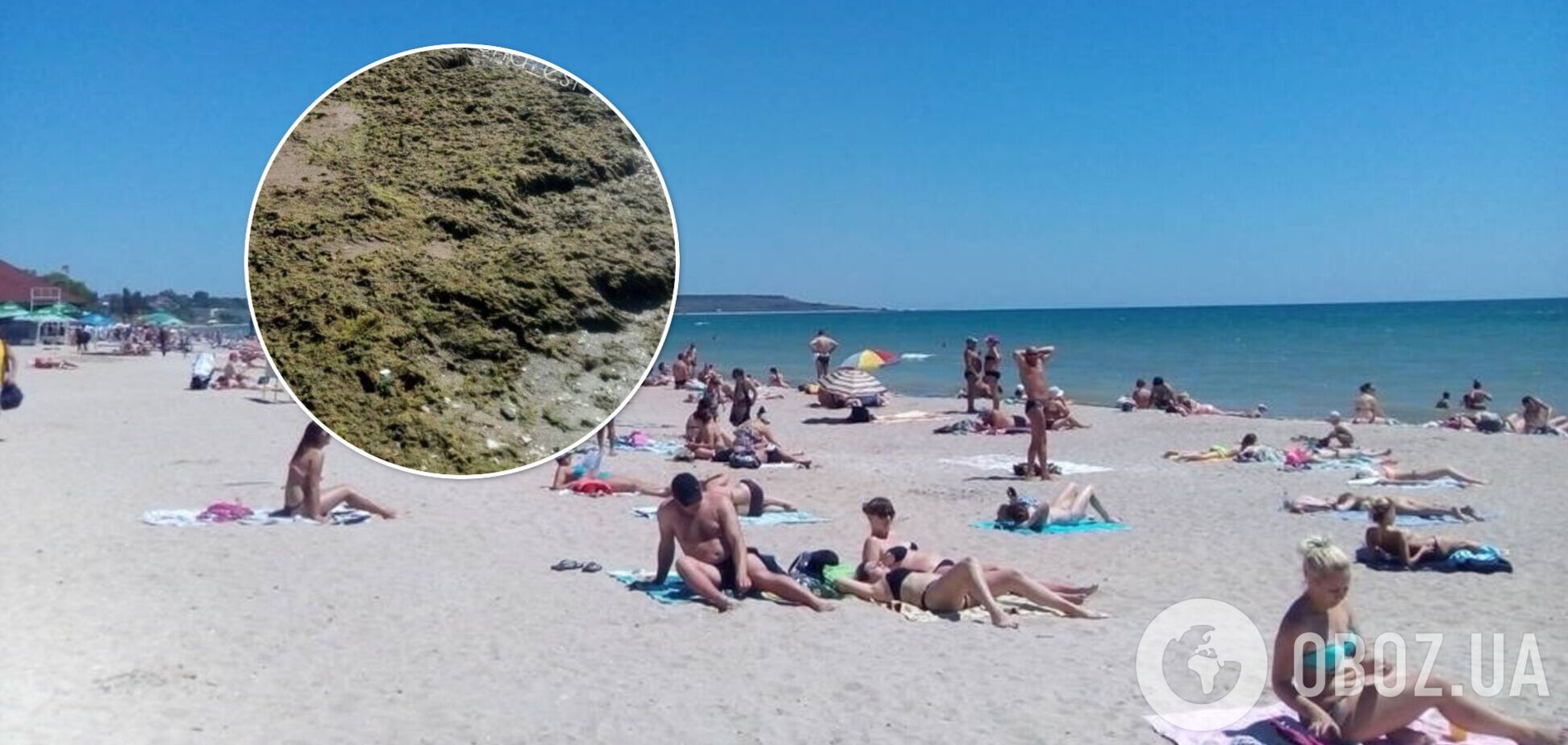 Тонны водорослей покрыли пляжи популярного одесского курорта. Фото