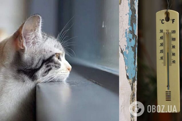 Очередное снижение температуры ожидается 3-4 августа