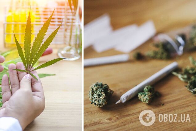 В Украине хотят легализовать медицинский каннабис