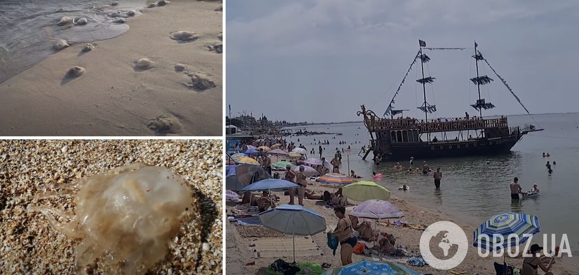 Азовское побережье атакуют медузы