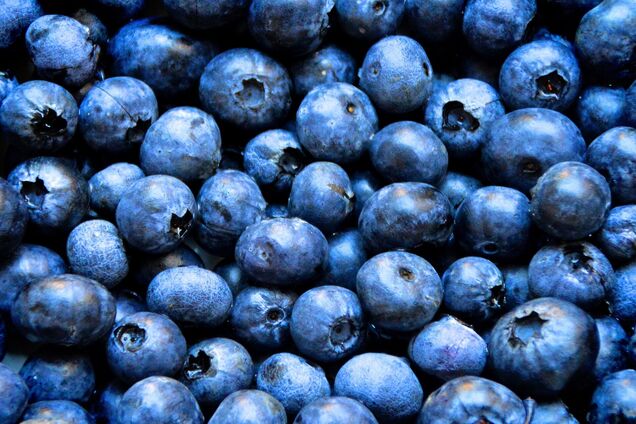 В Украине всего за неделю вдвое снизилась стоимость голубики: названа новая цена