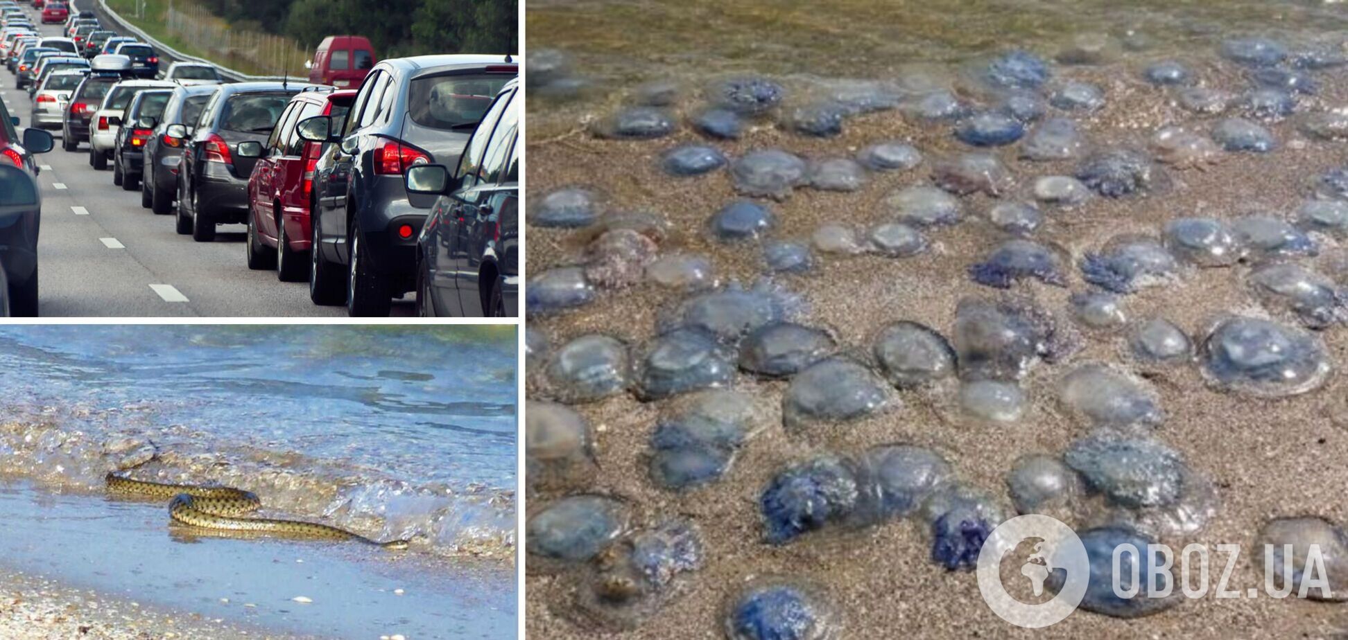 Туристи незадоволені відпочинком на морі