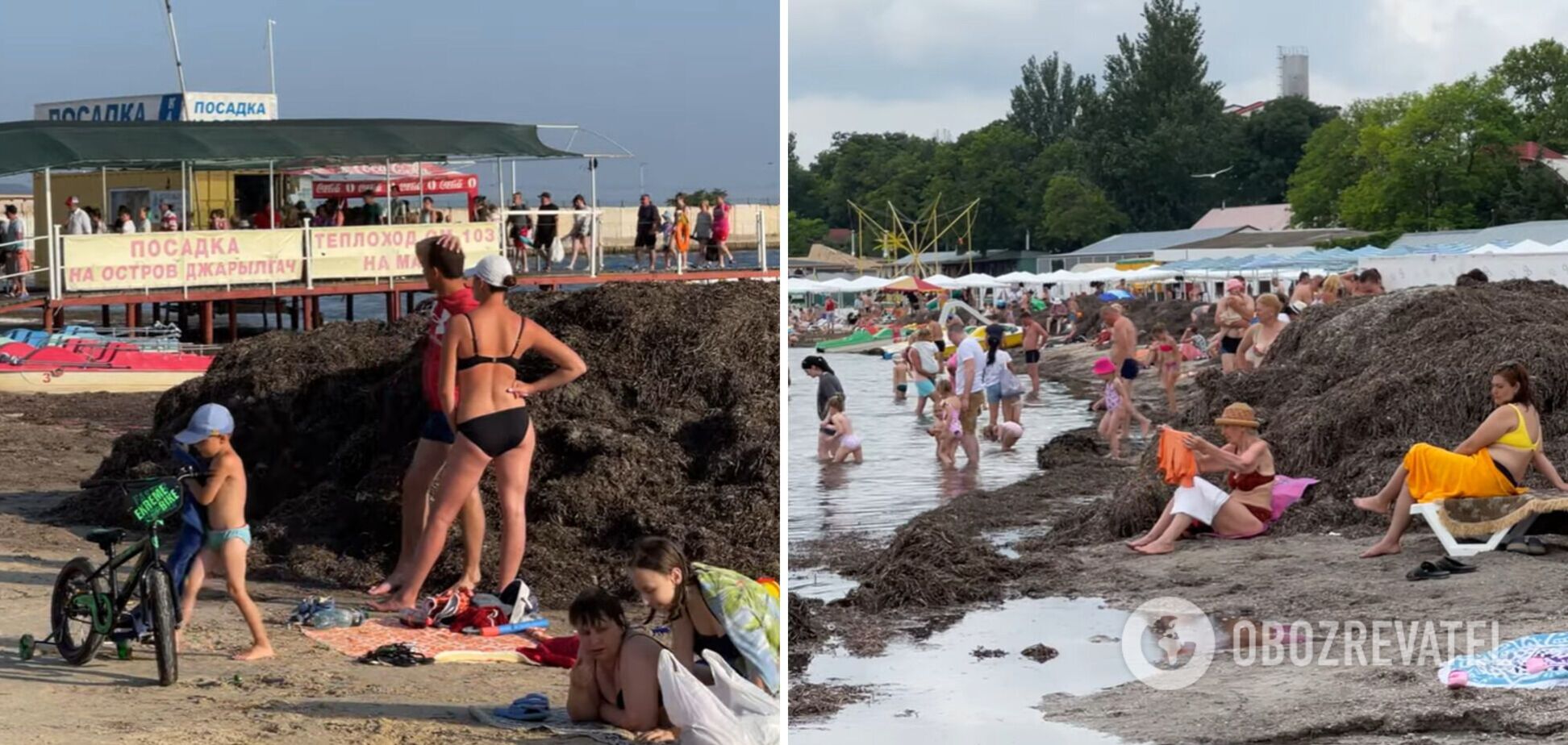 Медуз и морских блох нет, но запах как на ферме: турист назвал главный минус отдыха в Скадовске