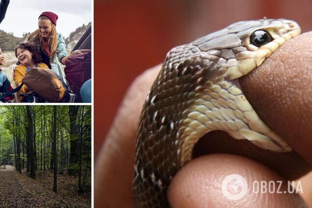 В Україні активізувалися змії: як уникнути нападу та що робити в разі укусу