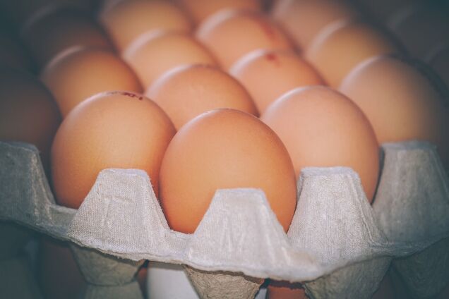 В Украине яйца могут взлететь в цене почти вдвое: когда и сколько заплатим