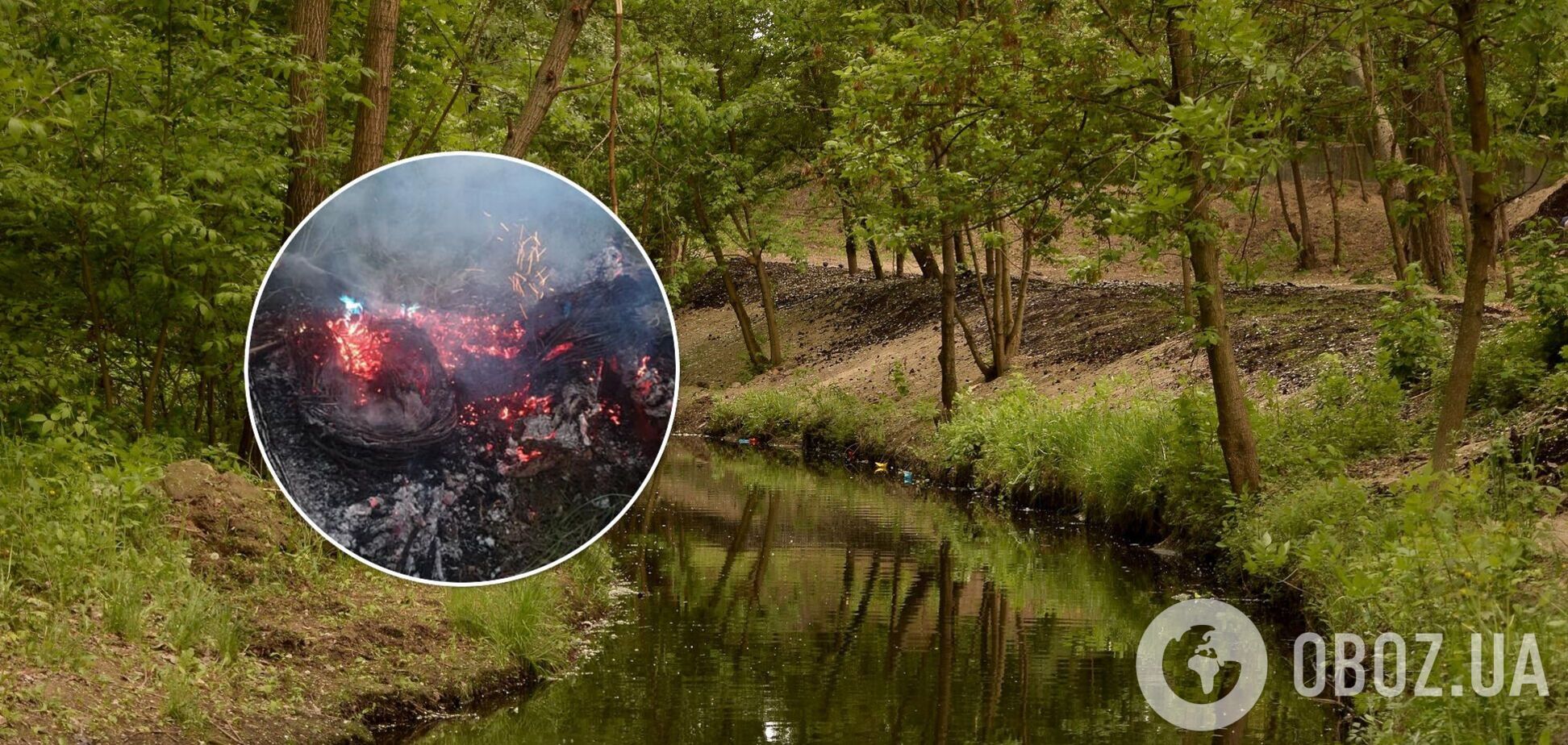 У Києві кілька разів намагалися підпалити унікальну ділянку природи. Фото та відео