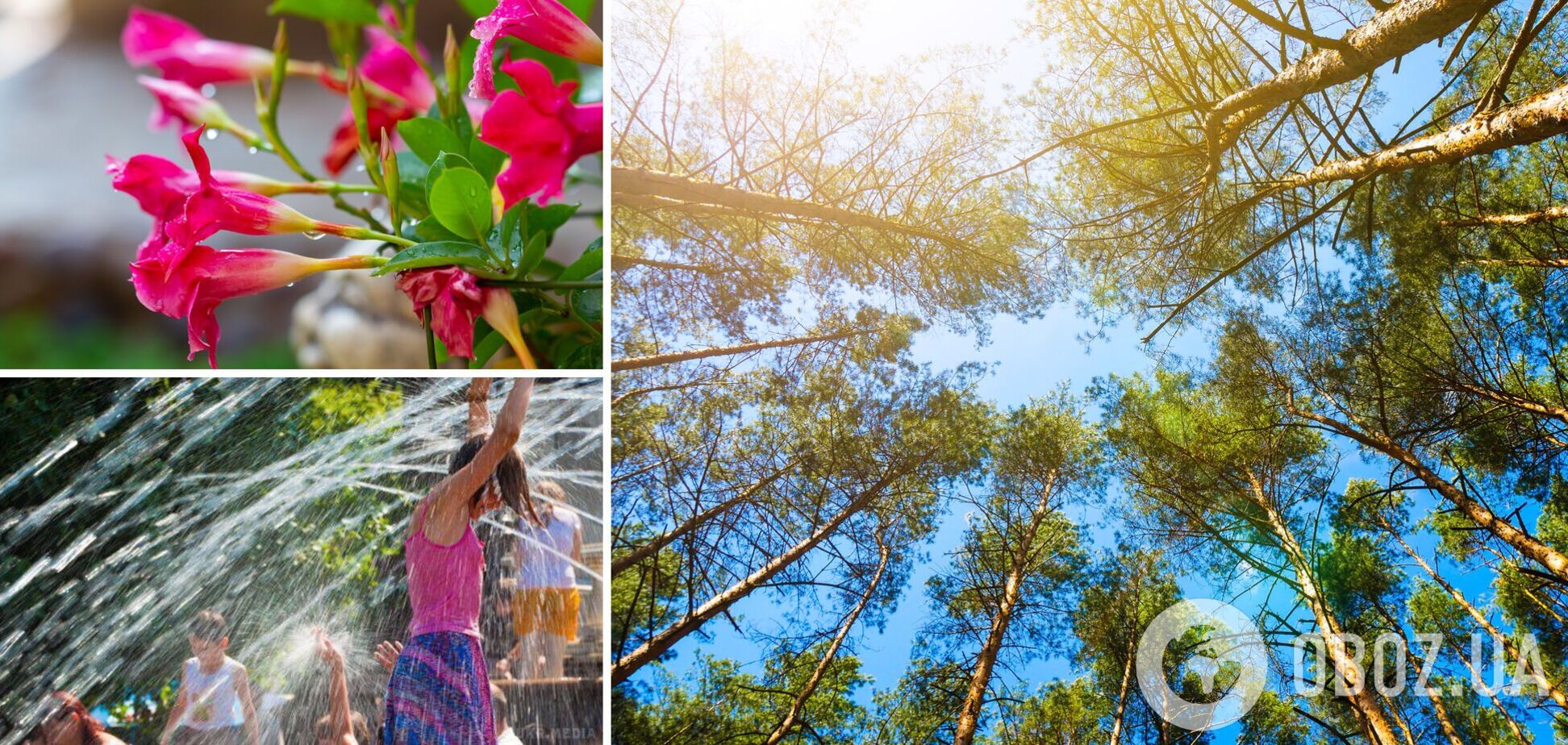 Погода в Україні