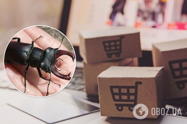 Жука продают в интернете