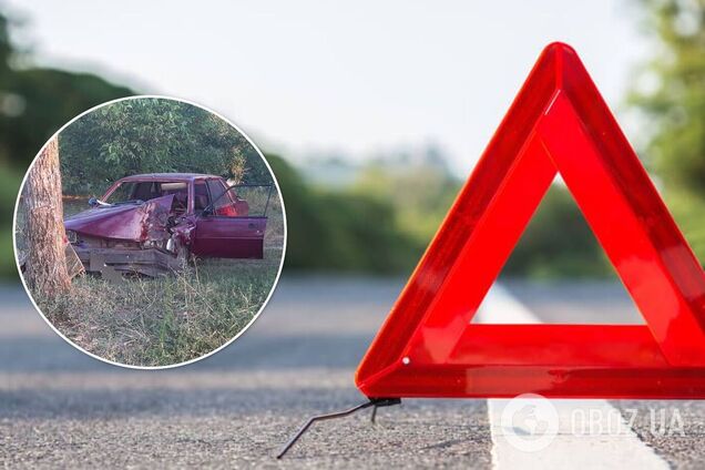 На Миколаївщині легковик врізався в дерево: водій загинув. Фото