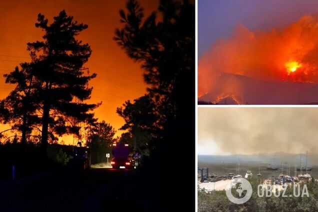 У Туреччині продовжилася боротьба з лісовими пожежами, затримано підозрюваного у підпалах. Фото і відео