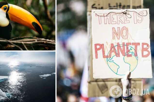 Є точка неповернення: кліматологиня розповіла, як зміна клімату 'вдарить' по Україні