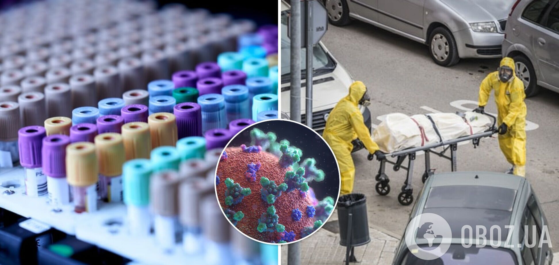 Ученые дали прогноз, когда число смертей от COVID-19 в мире достигнет пика