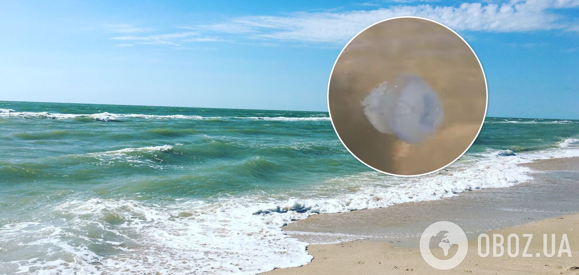 Бар'єрні сітки рятують від медуз, але щастить не всім: турист показав сумні реалії Кирилівки. Відео