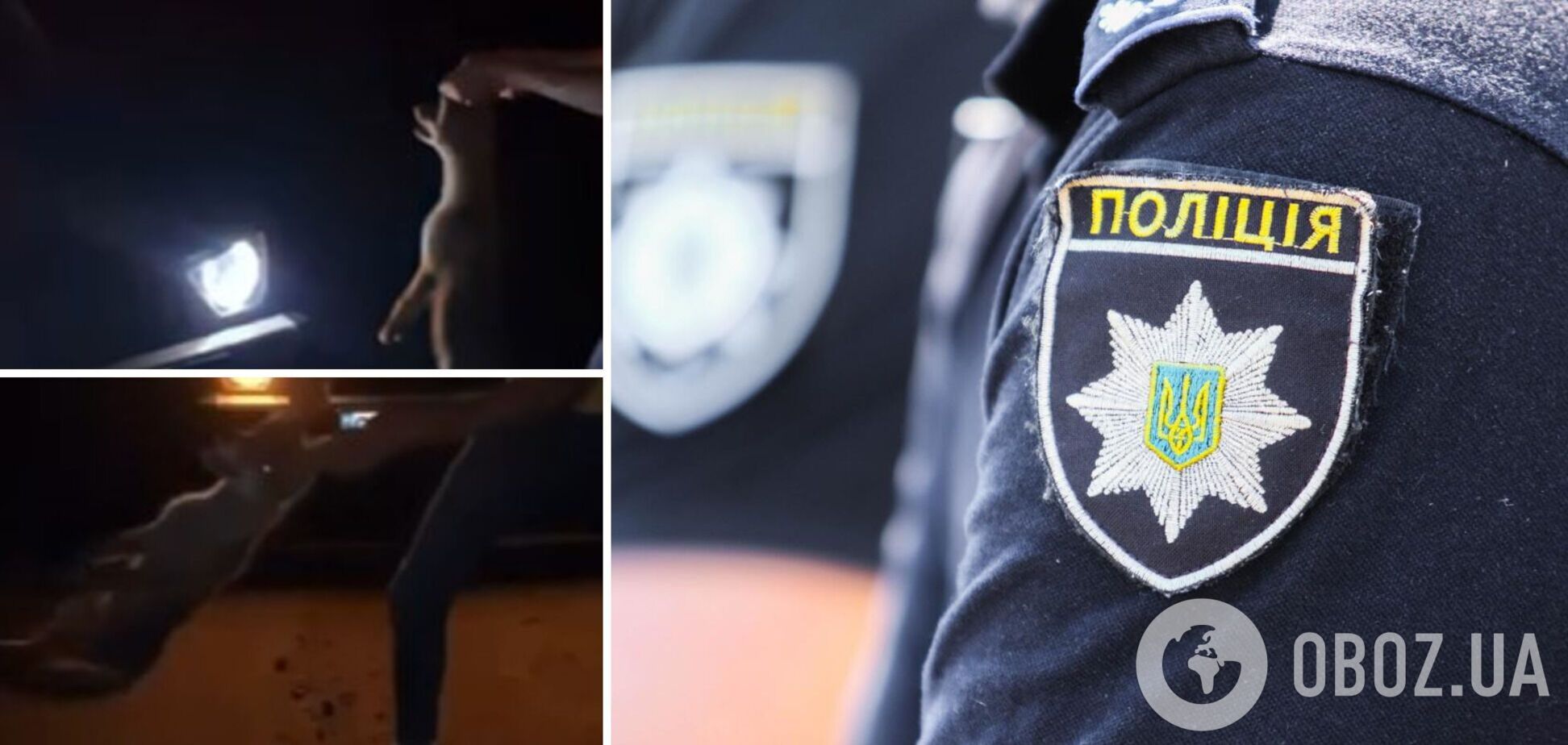 На Буковині компанія молоді познущалася з лисеняти, у поліції відреагували. Фото