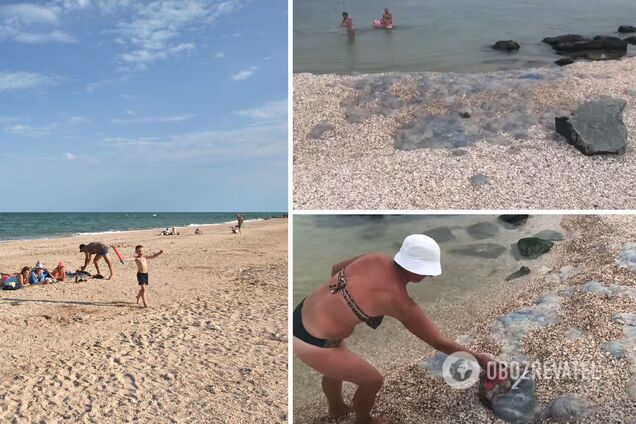 'Медузы лежат на пляже с людьми, загорают': турист показал, что происходит в курортной Кирилловке