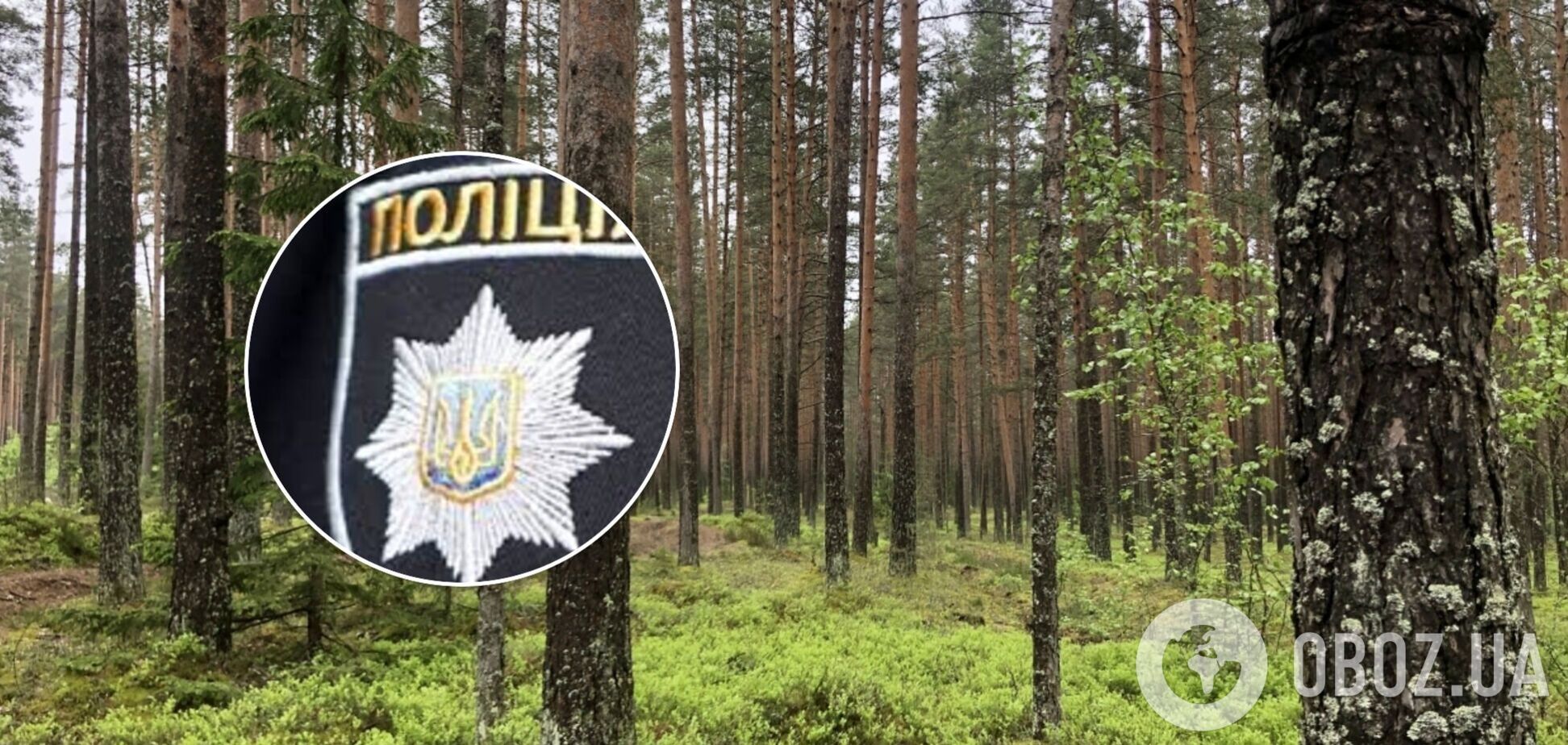 На Прикарпатье пропавшего мужчину нашли мертвым в лесополосе: в полиции раскрыли детали