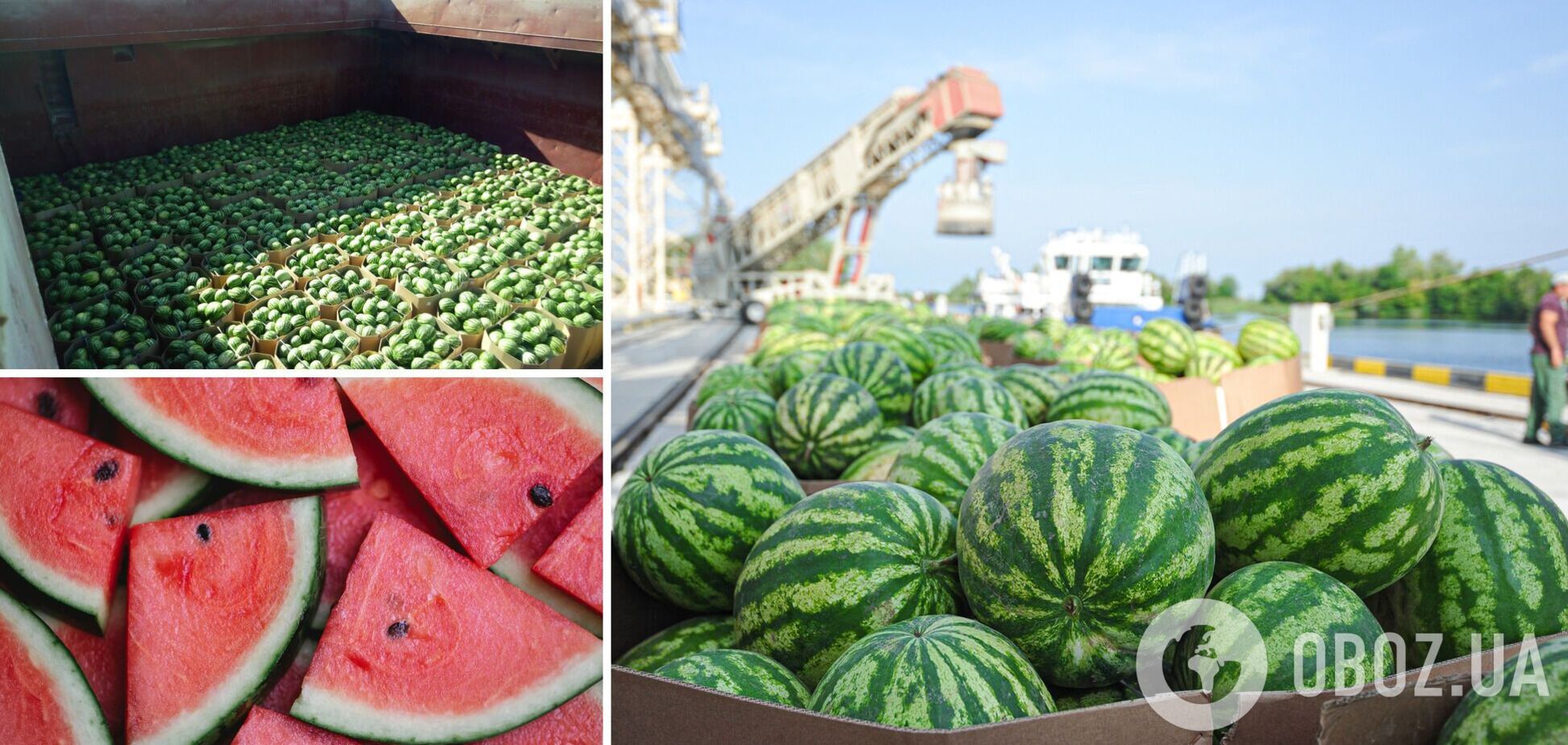На Херсонщині кавуни продають по 70 копійок:
