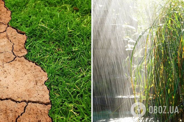 Климат в Украине