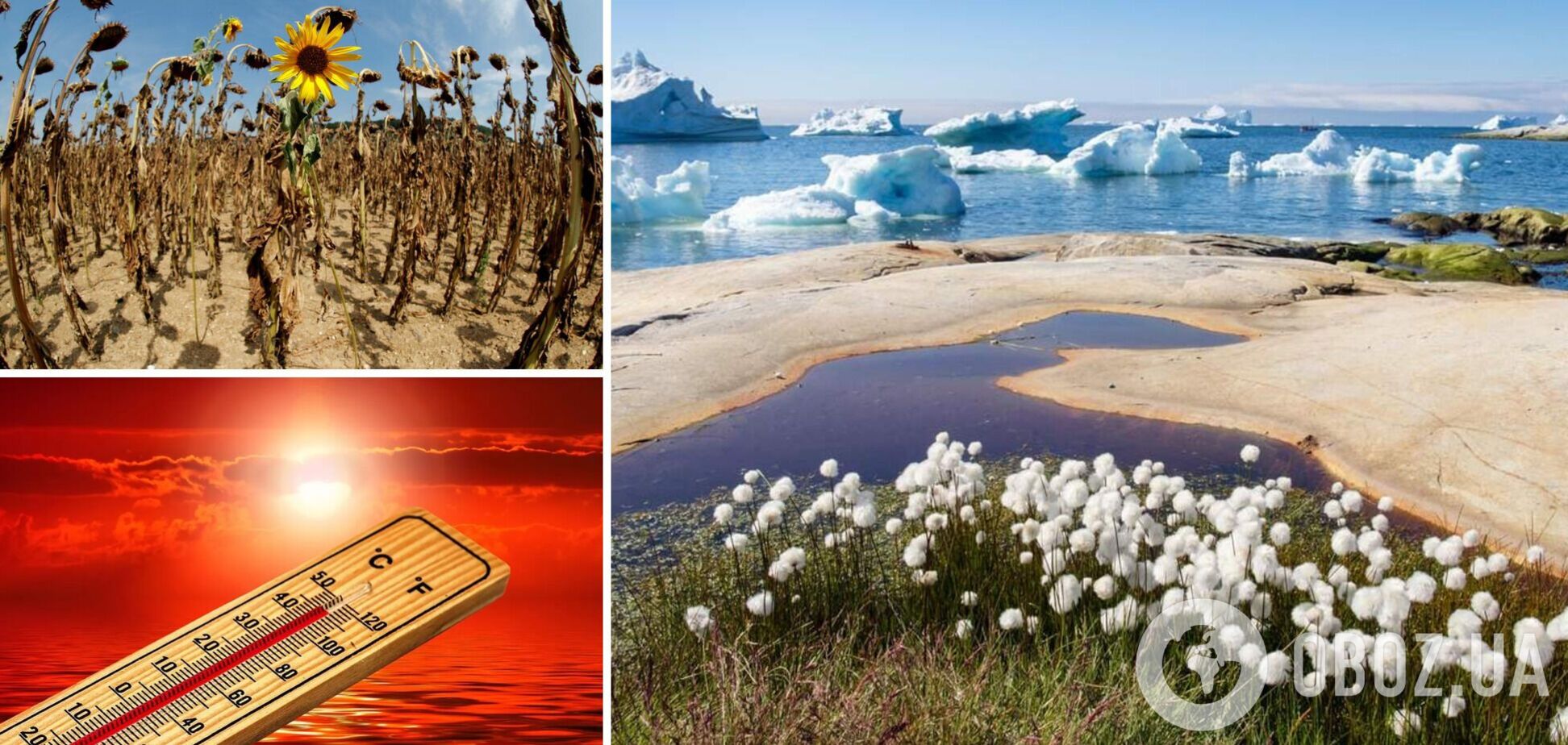 Глобальное потепление