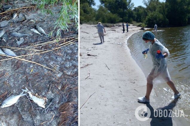 Заражена риба