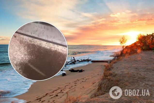 Кирилловку атаковали полчища комаров: названа их особенность. Видео