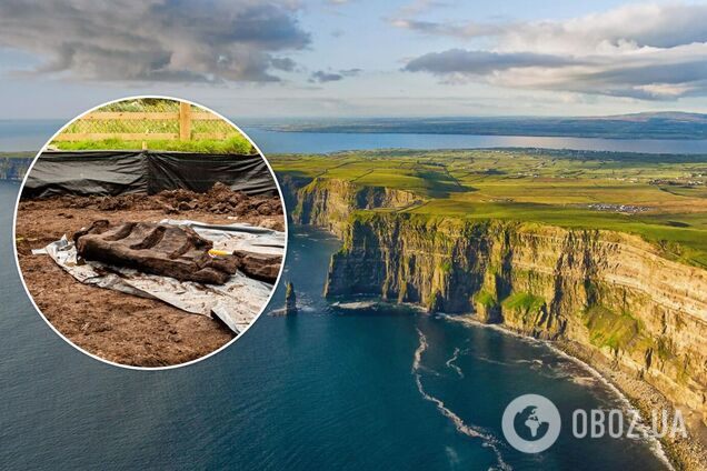 Археологи обнаружили языческий деревянный идол, которому 1600 лет. Фото