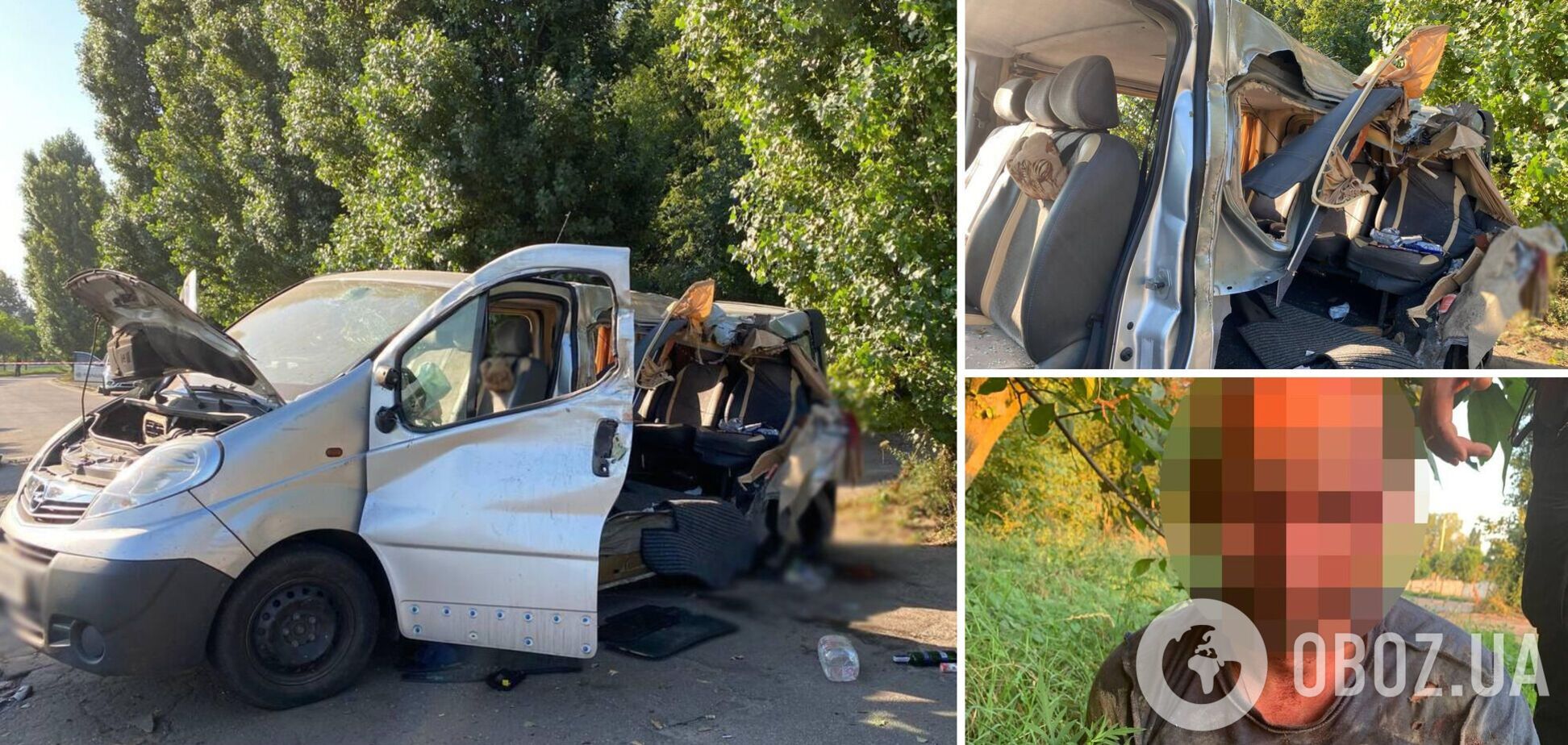 Мікроавтобус врізався в дерево