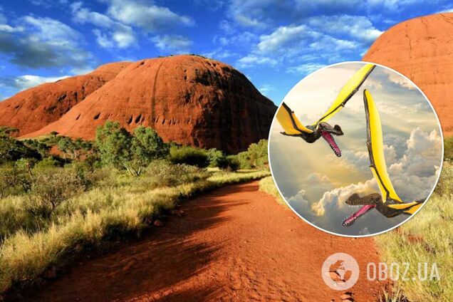 В Австралии обнаружили останки 'дракона', размах крыльев которого достигал 7 метров. Фото