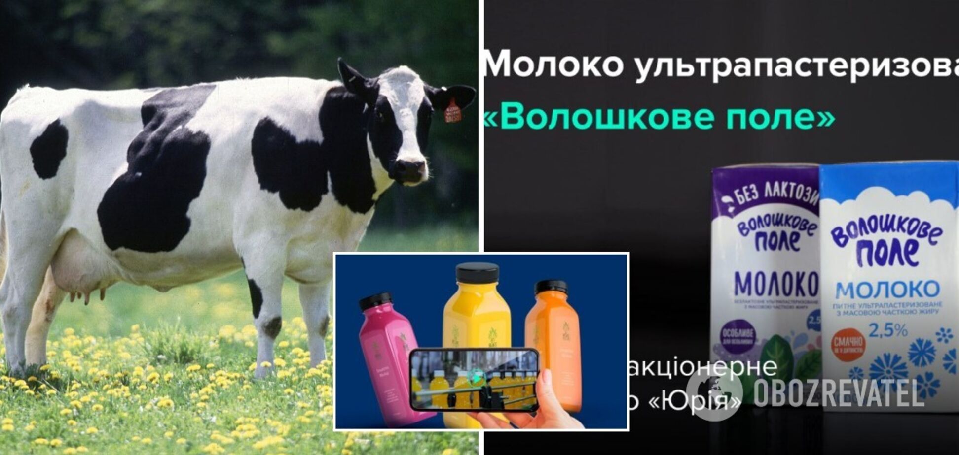 ТМ 'Волошкове поле' показала процесс создания молока