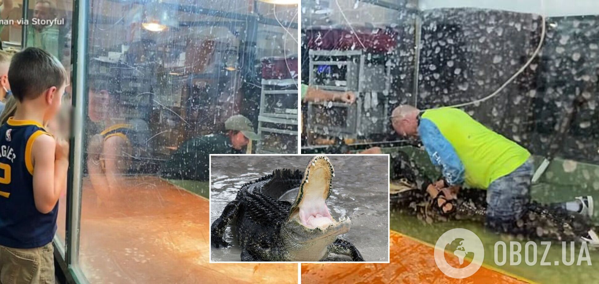 В США аллигатор напал на работника зоопарка на глазах у посетителей. Видео