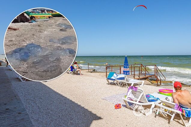 'Кисель' из медуз: туристы снова жалуются на испорченный отдых в Кирилловке. Видео