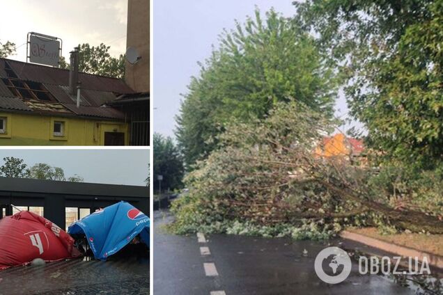 На Закарпатті пронісся потужний буревій: виривав дерева з корінням і зносив дахи. Фото і відео
