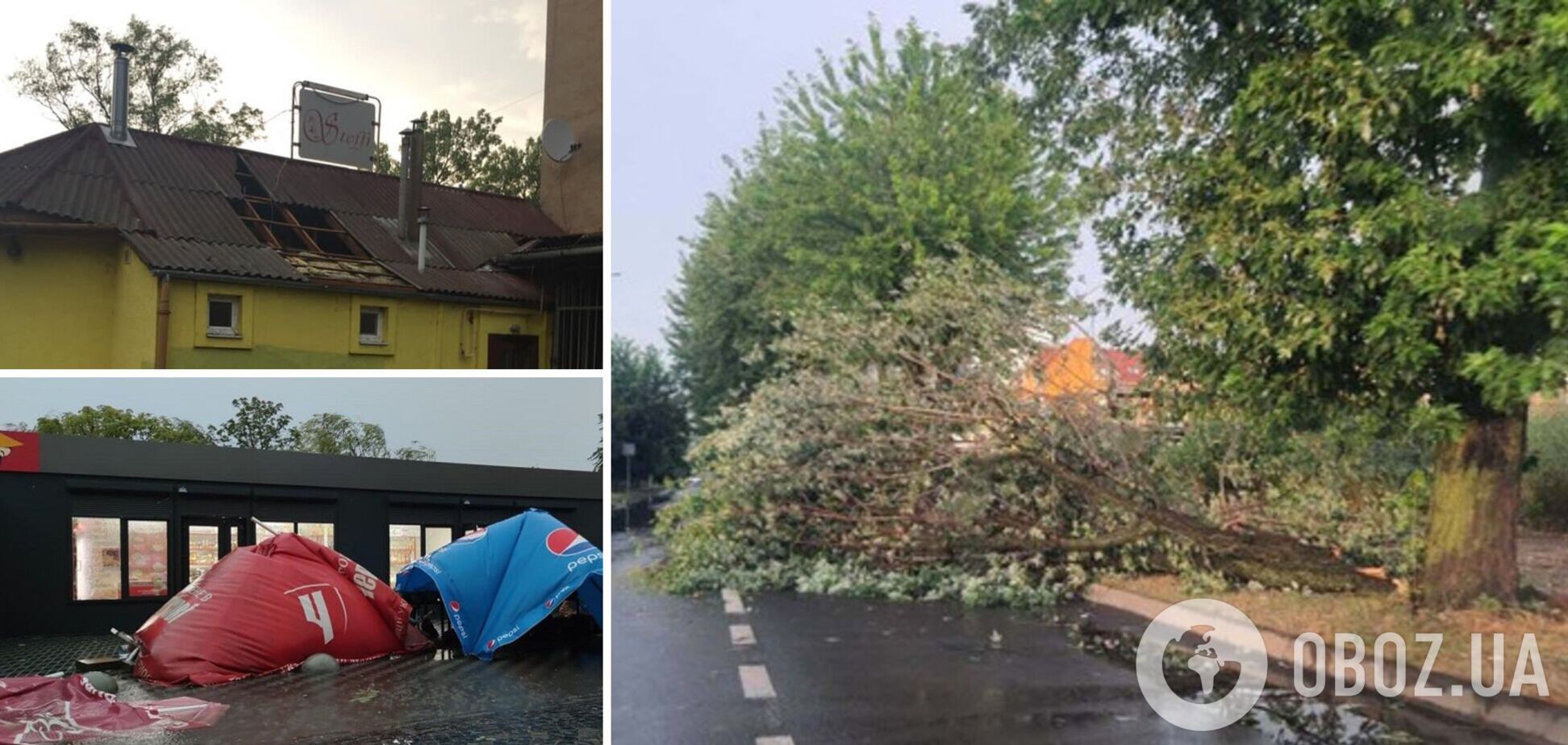 На Закарпатье пронесся мощный ураган: вырывал деревья с корнем и сносил крыши. Фото и видео