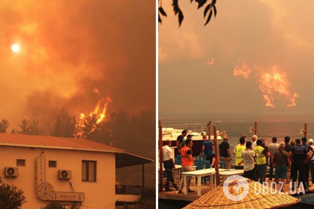 У Туреччині гасять лісові пожежі