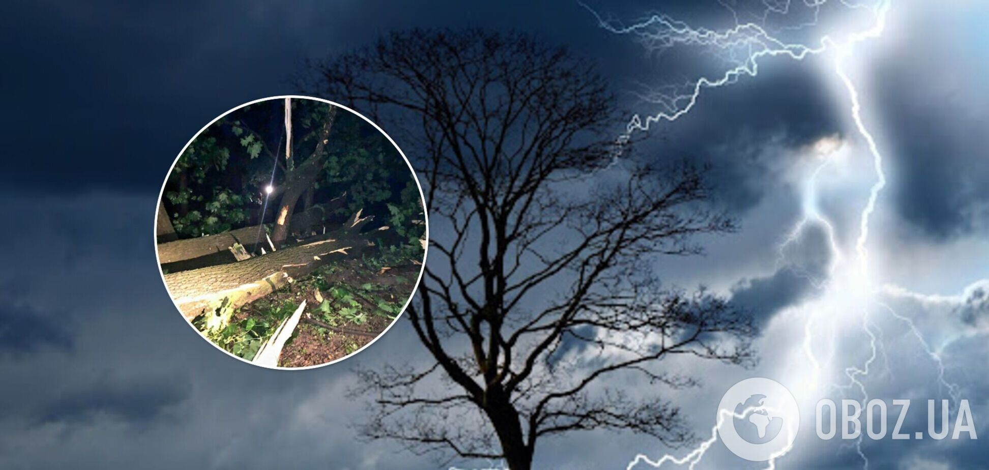 Сиділи під парасолькою, обійнявшись: очевидці розповіли про загибель молодої пари у Львові. Фото та відео