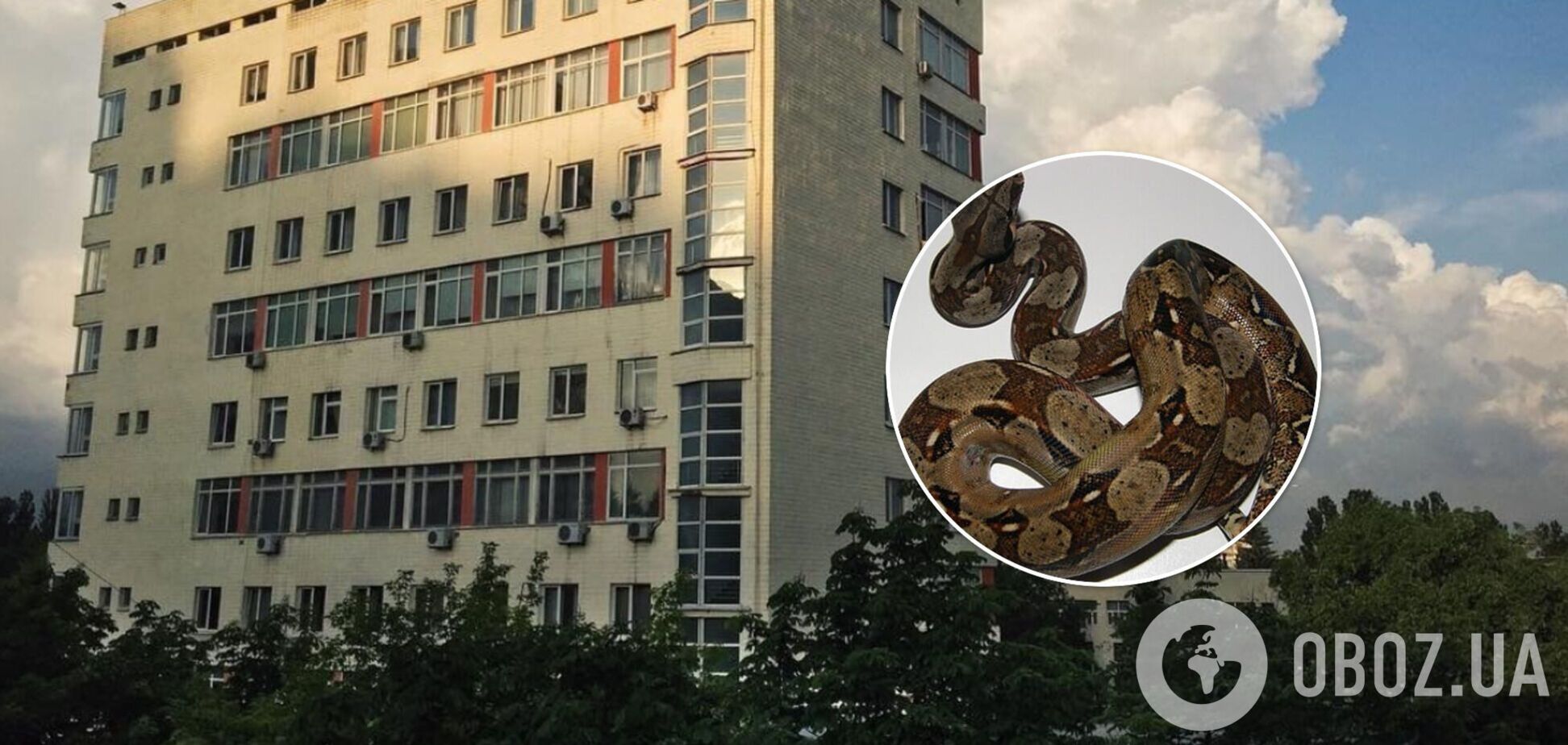 В Киеве ищут двухметрового удава, который потерялся во время прогулки. Фото