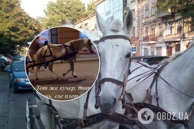 В Одессе туристов снова катают на лошади, которая сломала ногу неделю назад. Видео