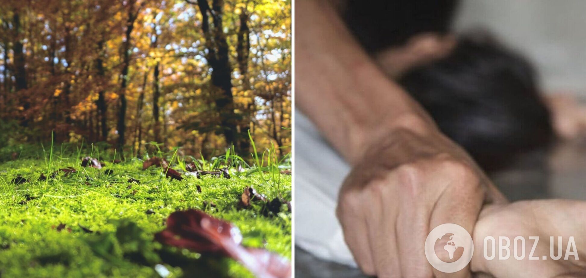 В лесу, где убили Гонгадзе, изнасиловали 16-летнюю девушку