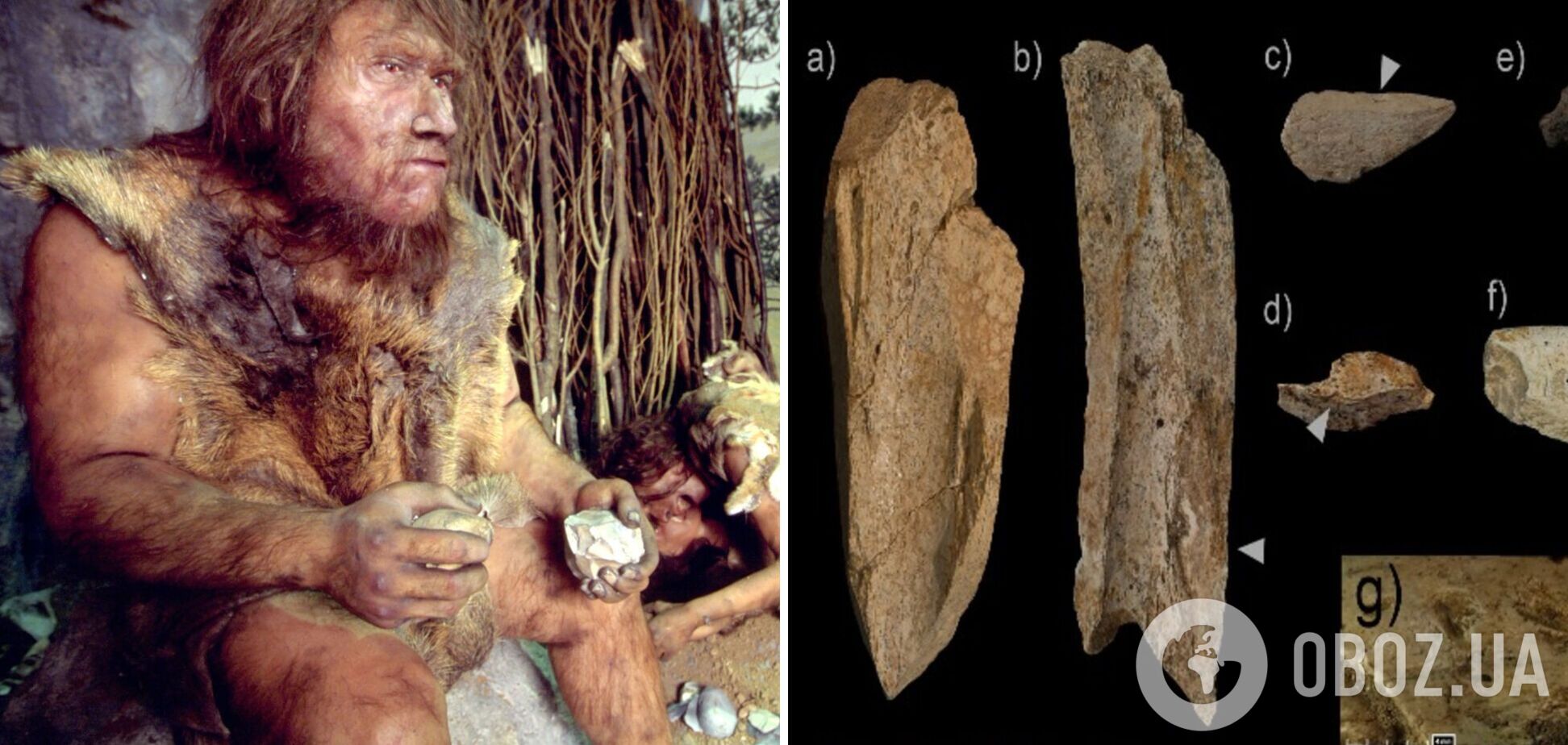 Археологи обнаружили в Испании лагерь неандертальцев, которому 70 тыс. лет. Фото