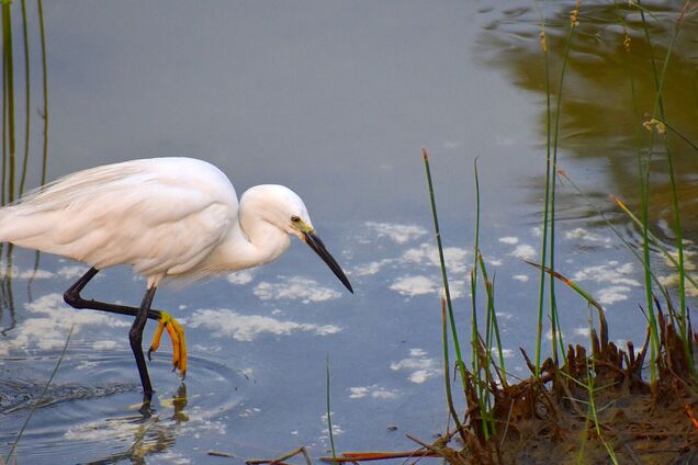 27 августа: праздник, что нельзя делать, приметы и именинники