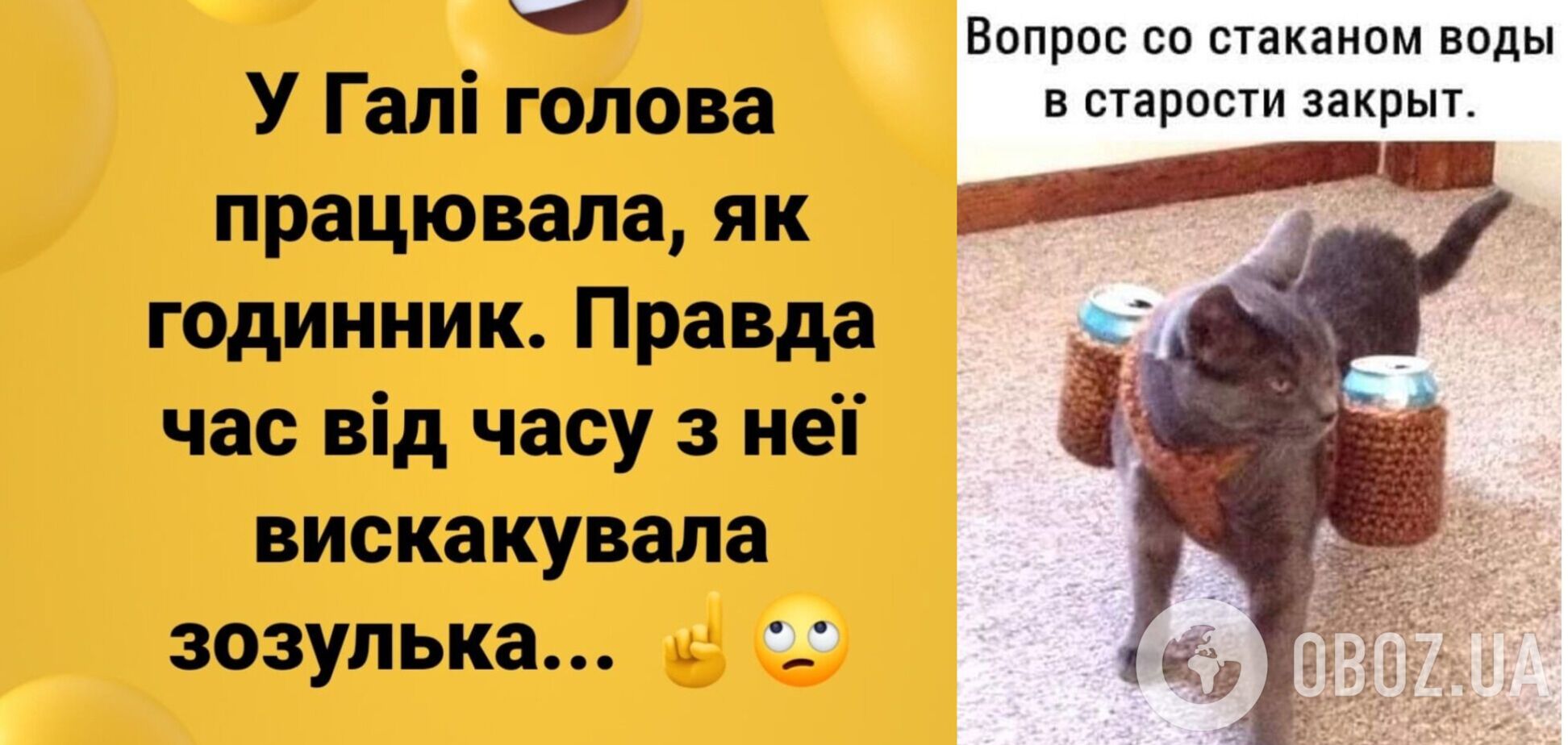 Анекдоты