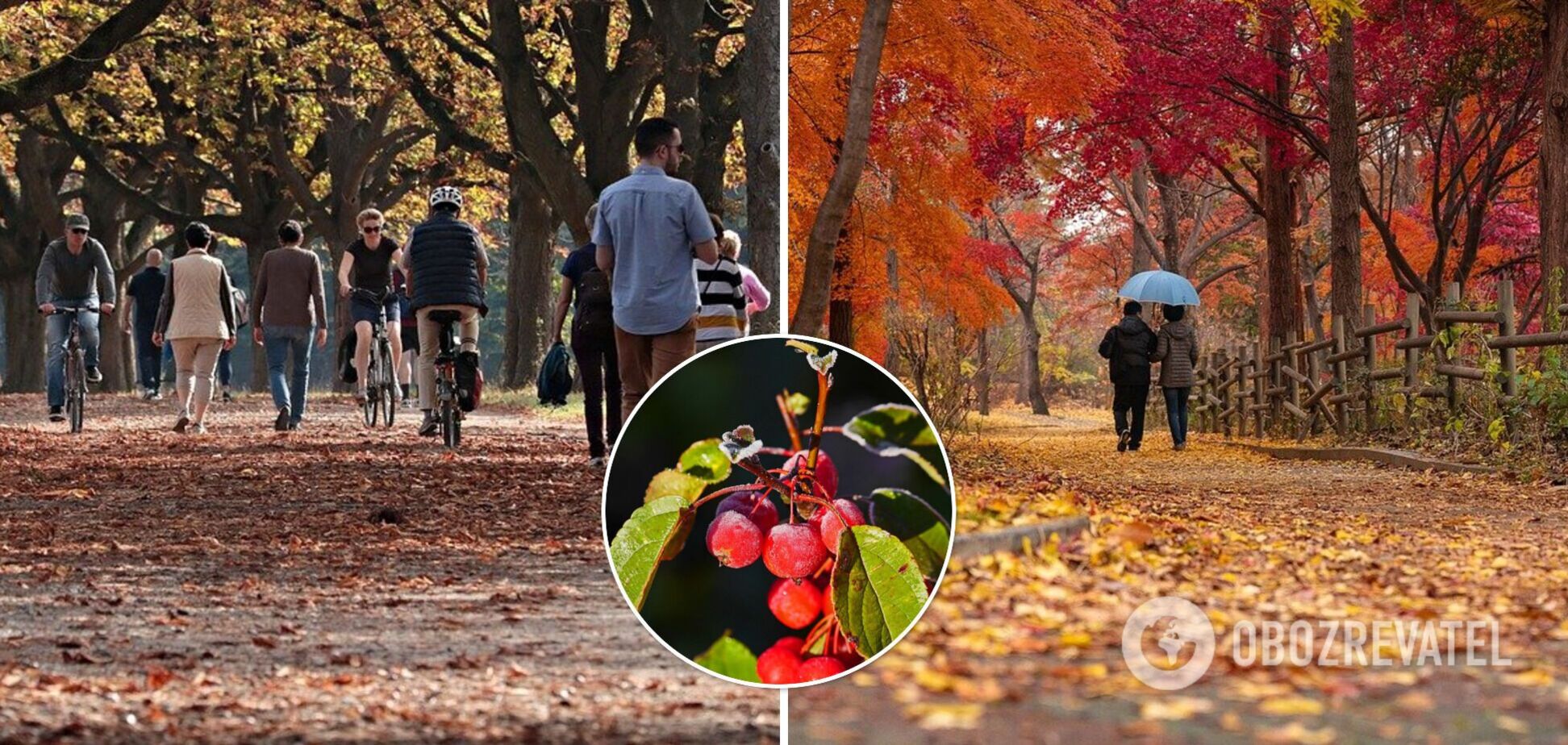 Жара в сентябре и заморозки в середине октября: народный синоптик дал прогноз на осень-2021