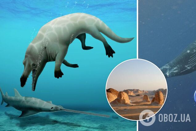 В Египте обнаружили останки кита, который мог плавать в воде и ходить по суше