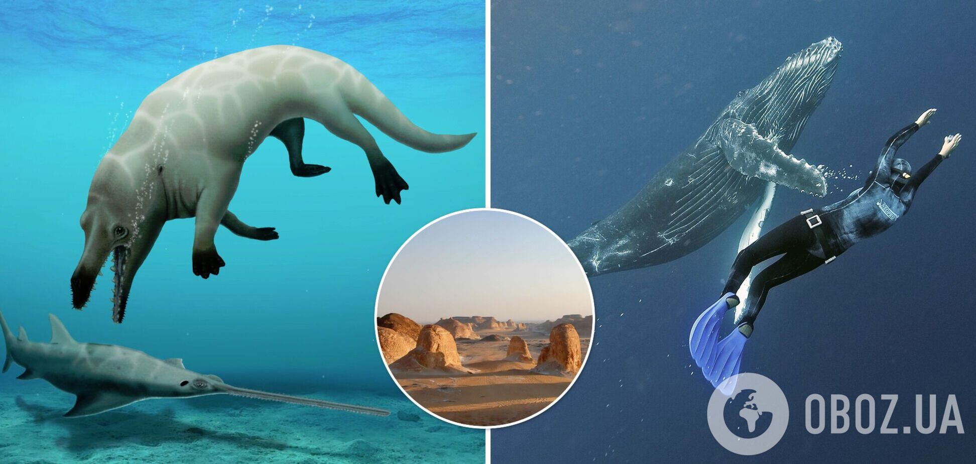 В Египте обнаружили останки кита, который мог плавать в воде и ходить по суше