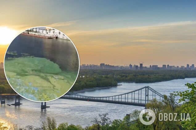 Днепр в Киеве позеленел и покрылся 'плесенью', стоит отвратительный запах. Видео
