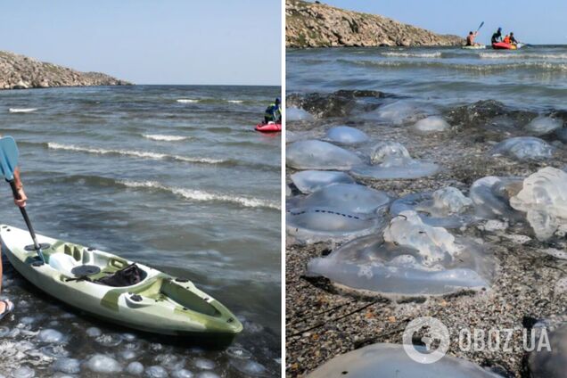 Побережье Крыма 'атаковали' тысячи огромных медуз, которые жалят туристов. Фото