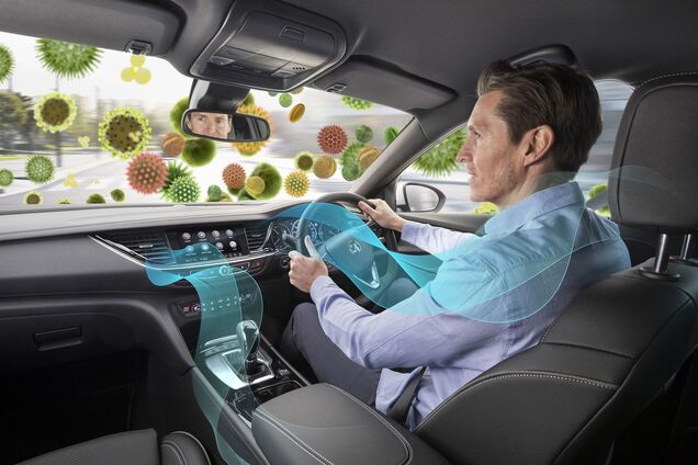 Амброзия в цвету: как водителю защитить себя и пассажиров