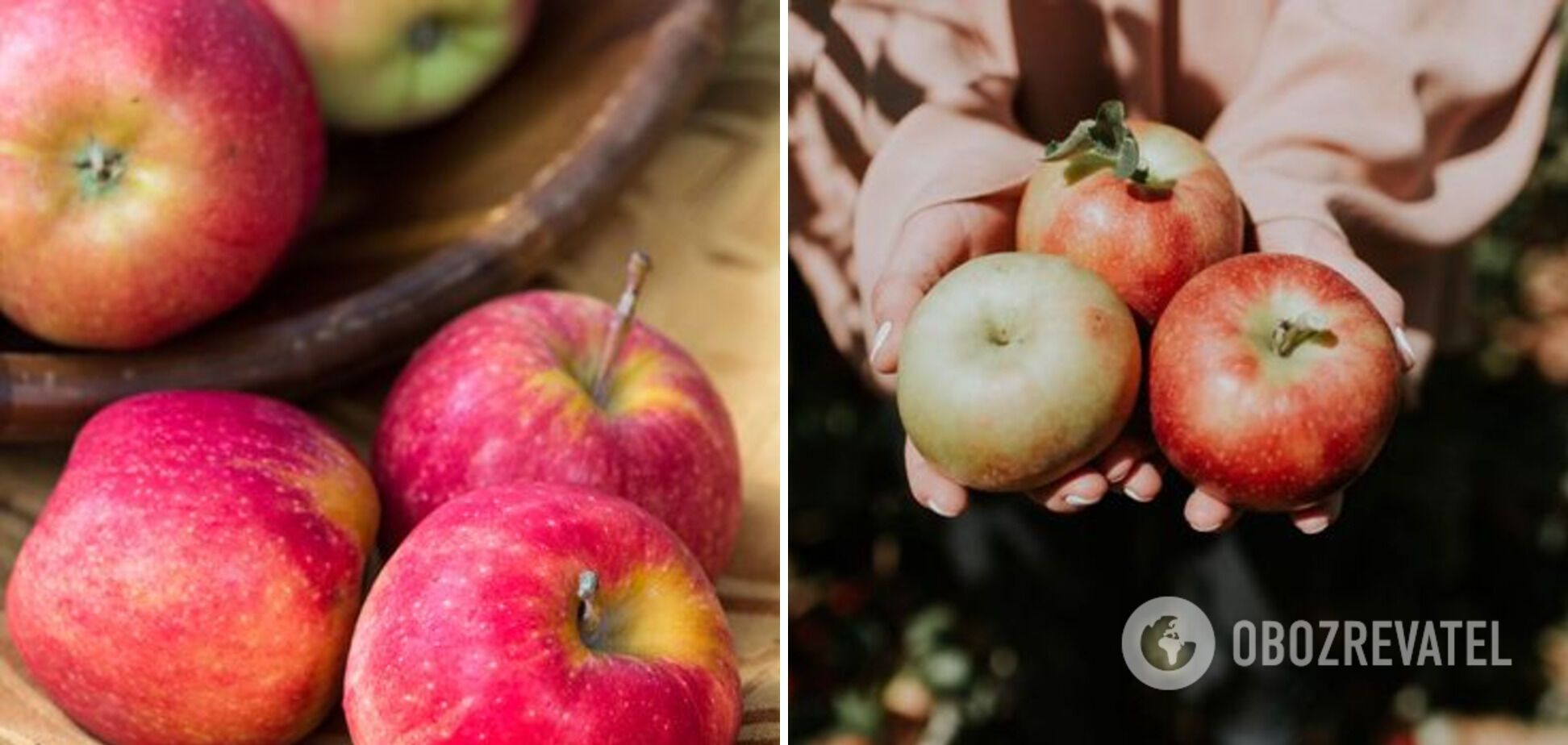 Десерти з яблук: 3 простих рецепти