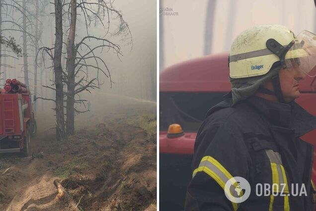 В Луганской области вспыхнул лесной пожар: первые подробности и фото